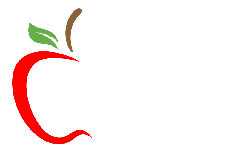 Virtual Instructor Logo